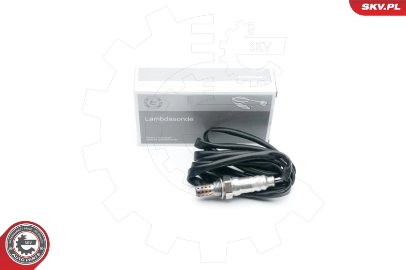 Oxygen Sensor